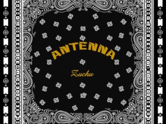 Zuchu - Antenna