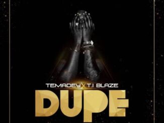 Ti blaze - DUPE