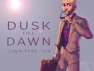 ZAYN - Dusk Till Dawn (slowed down)