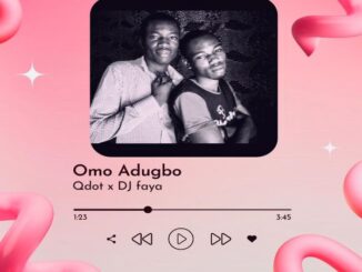 Qdot - Omo Adugbo