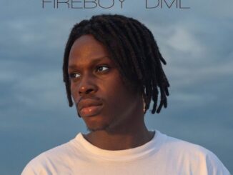 Fireboy DML - Like I Do