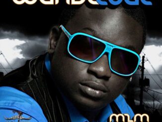 Wande Coal - Who Born The Maga