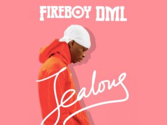 Fireboy DML - Jealous