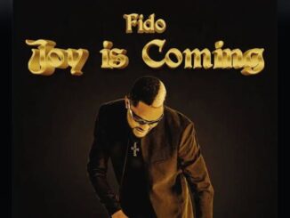 Fido - Joy is coming Remix