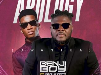 BenjiBoy - Apology (Dwantua)