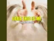 Benjamin Nuhu Akan - Lord This Is Me