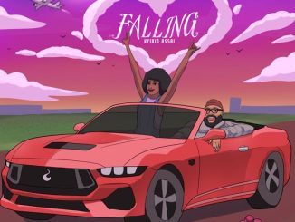 Kelvin Ossai - Falling