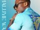 DJ Tira - Cela Skhulume