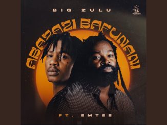 Big Zulu - Abazazi Bafunani